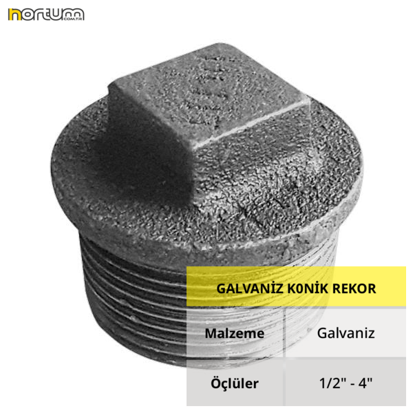GALVANİZ  KÖR TAPA 2 1/2'' - 20 Adet