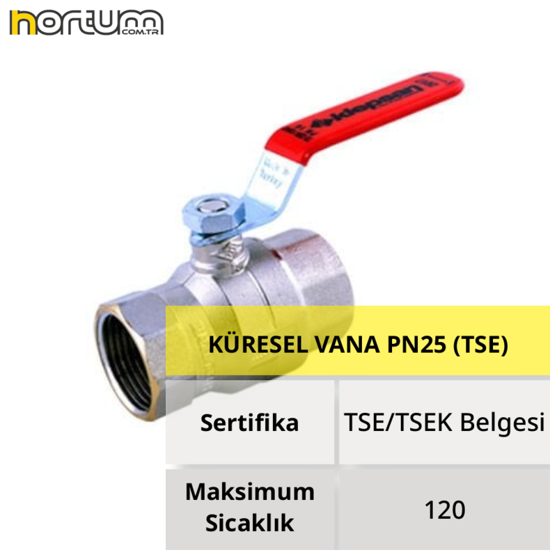 KÜRESEL VANA PN25 (TSE)